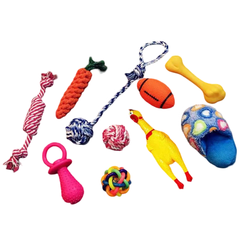 10ps Pet Toy Dog Set-rand...